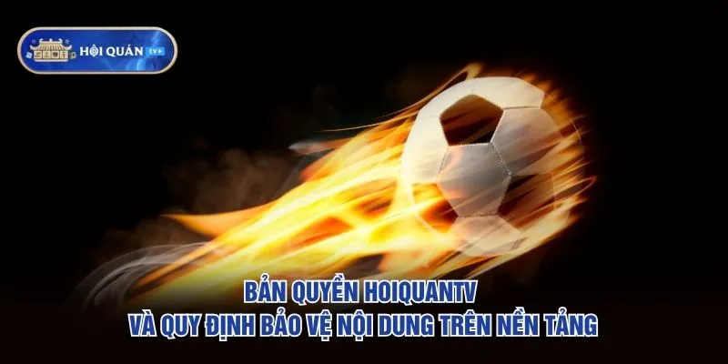 Bản quyền hoiquantv và quy định bảo vệ nội dung trên nền tảng