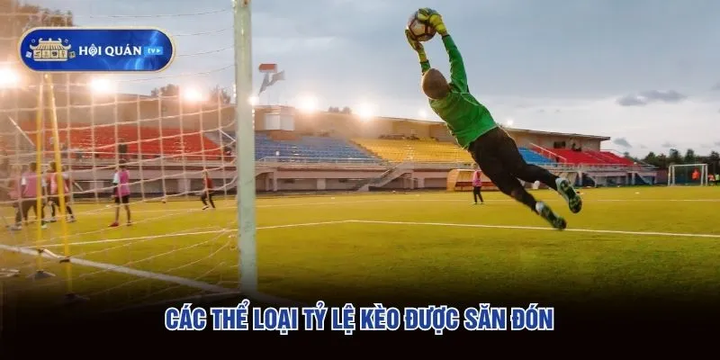 Các thể loại tỷ lệ kèo được săn đón