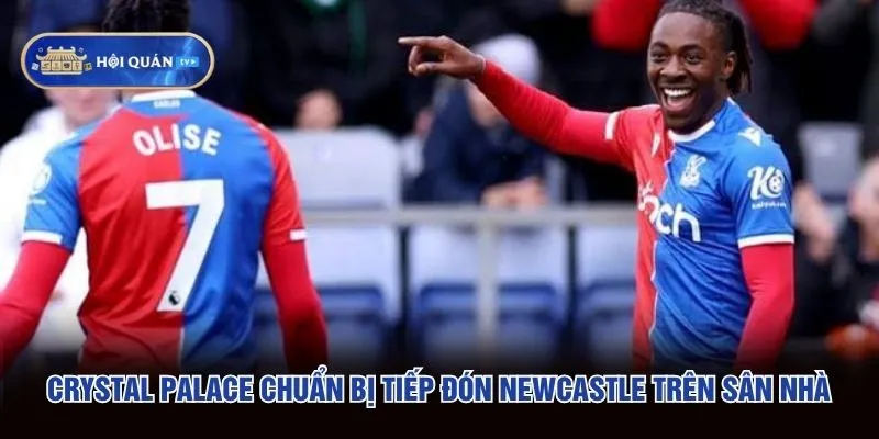 Crystal Palace chuẩn bị tiếp đón Newcastle trên sân nhà