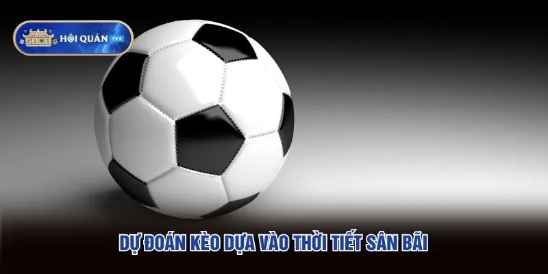 Dự đoán kèo dựa vào thời tiết sân bãi