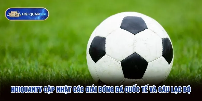 hoiquantv cập nhật các giải bóng đá quốc tế và câu lạc bộ