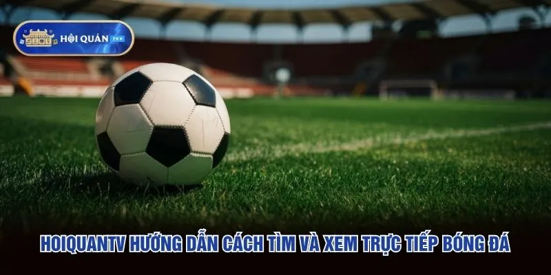 hoiquantv hướng dẫn cách tìm và xem trực tiếp bóng đá
