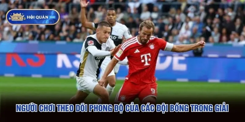 Người chơi theo dõi phong độ của các đội bóng trong giải