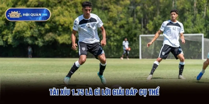 Tài xỉu 1.75 là gì lời giải đáp cụ thể