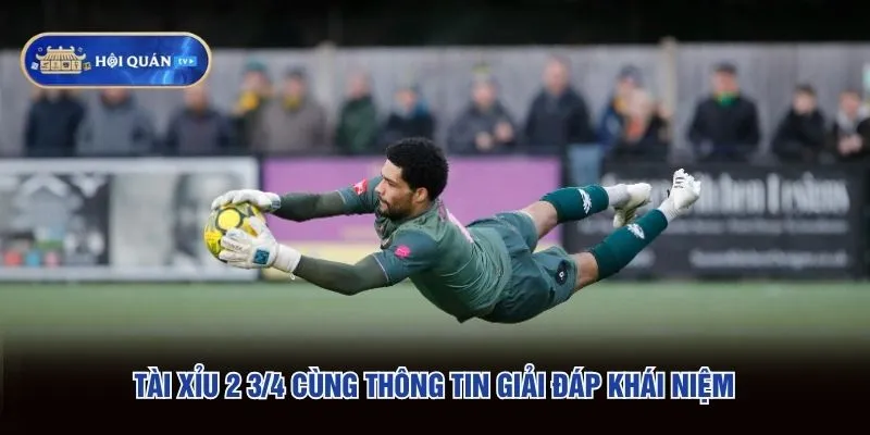 Tài xỉu 2 3/4 cùng thông tin giải đáp khái niệm