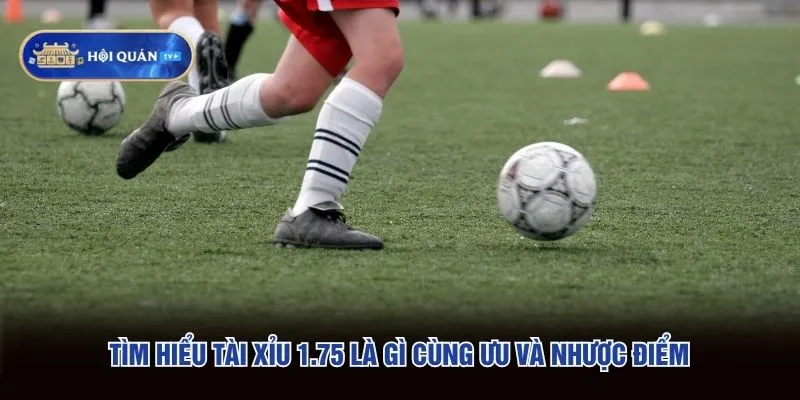 Tìm hiểu tài xỉu 1.75 là gì cùng ưu và nhược điểm